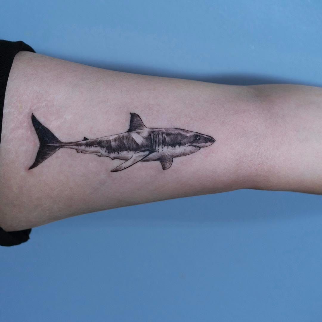 Minimalist Shark Tattoo  Shark tattoos Small shark tattoo Tooth tattoo