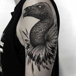 Vulture Tattoo by Luca Cospito #vulture #blackwork #blackworkartist #blackink #darkart #darkartist #spanishartist #LucaCospito
