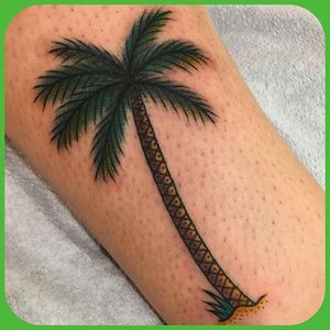 Palm Tree Tattoo by Steve Godspeed #palmtree #treetattoo #tropicaltattoo #traditionaltattoos #SteveGodspeed
