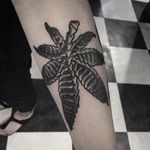 Weed tattoo by @Garaskull #skeleton #black #blackwork #weed #xray