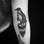 Cute penguin tattoo #penguin #dotwork #blackwork #linework #DanielBarreto #animal #penguintattoo