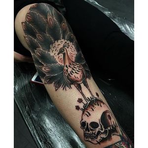 Unusual peacock and skull design. Tattoo by Aaron Breeze #AaronBreeze #neotraditional #traditional #LifeAndDeathTattoo #blackworker #peacock #skull
