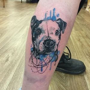 Watercolor staffy tattoo by Clare Lambert. #watercolor #ClareLambert #dog #animal #staffy