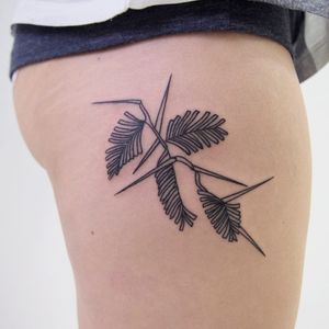 Botanical tattoo by Natalia Holub #NataliaHolub #handpoke #linework #minimalistic #botanical #acacia