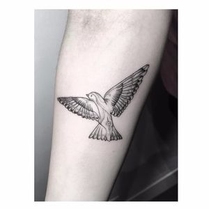 Bird tattoo by Max Le Squatt #MaxLeSquatt #fineline #blackandgrey #bird