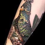 Cute lil bird by Fabien Grezyn #FabienGrezyn #color #realism #realistic #bird #feathers #wings #nature #leaves #branch #pinecone #tattoooftheday