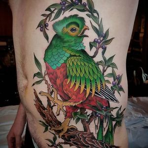 Quetzal bird by Chong Tramontana #ChongTramontana #color #bird #quetzal #plant #tattoooftheday