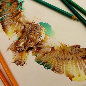 #coruja #owl #aquarela #watercolor #vareta #ilustradorvareta #coloridos #brasil #brazil #portugues #portuguese #desenhos #drawing