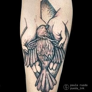 Pássaro por Paula Rueda! #PaulaRueda #tatuadorasbrasileiras #tattoobr #tattoodobr #tatuadorasdobrasil #bird #pássaro #sketch #blackwork