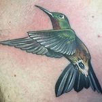 A killer hummingbird by Chad Whitson (IG—chadwhitsontattoo). #ChadWhitson #color #hummingbird #traditional