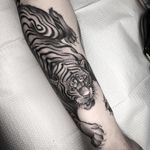 Tiger attack tattoo by Nathan Kostechko #nathankostechko #cattattoos #blackandgrey #Japanese #illustrative #mashup #tiger #junglecat #cat