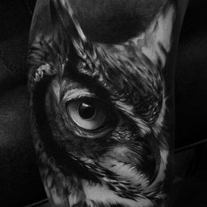 This owl by Alex Bruz (IG—alexbruz) is straight out of nocturnal life. #AlexBruz #blackandgrey #hornedowl #realism