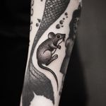 Blackwork filler tattoo by WookJuun Lee. #WookJuunLee #MadamTattooer #Madam #blackwork #mouse #filler #rodent