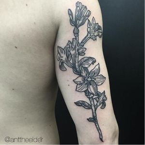 Tattoo by Ant The Elder #AntTheElder #flowers #blackwork (Photo: Instagram @anttheelder)