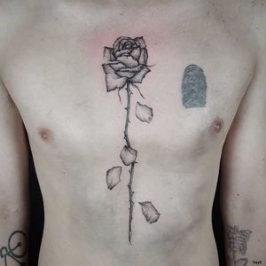 Superb rose tattoo by Ed Taemets #EdTaemets #blackandgrey #blackwork #rose