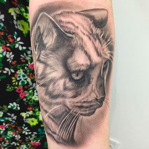 Cute cat portrait tattoo done by Nate Graves. #NateGraves #Sacred #portrait #catportrait #animalportrait #realism #michigan #blackandgrey #realistic #cat