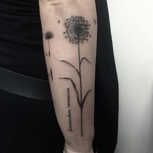 Delicate blackwork dandelion tattoo by Klaudia Holda. #dotwork #blackwork #KlaudiaHolda #dandelion #botanical