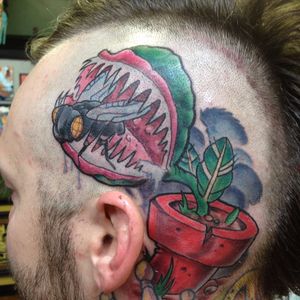 Crazy Head Tattoo, artist unknown #venusflytrap #flytrap #plant #flower #head #headtattoo
