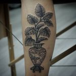 Swiss Cheese Plant tattoo by Franco Maldonado #FrancoMaldonado #planttattoos #blackandgrey #linework #pattern #swisscheeseplant #leaves #vase #clouds #butterfly #pattern #ornamental #nature #tattoooftheday