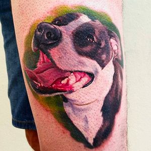 Super cool pet portrait tattoo done by Peter Tattooer. #PeterTattooer #portraittattoo #realistic #dog #petportrait #realism #portrait