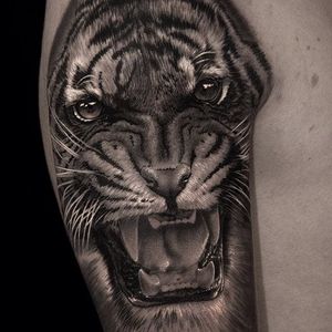 Big cat. (via IG - andreytattoo) #AndreySmolentcev #BlackandGrey #AnimalHeads #Realism #tiger