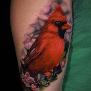 Is it spring? This cardinal by Jamie Schene thinks so. (Via IG - jamie_schene) #colorrealism #cardinal #bird #JamieSchene