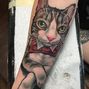 Fancy Cat Tattoo by Benji Harris #cat #bowtie #neotraditional #neotraditionalartist #color #traditional #BenjiHarris