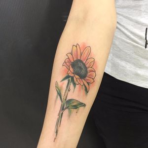 Girassol por Wina Brasil! #WinaBrasil #TatuadorasBrasileiras #TatuadorasDoBrasil #TattooBr #FozdoIguaçu #girassol #sunflower #flor #flower #watercolor #aquarela #delicate #delicada