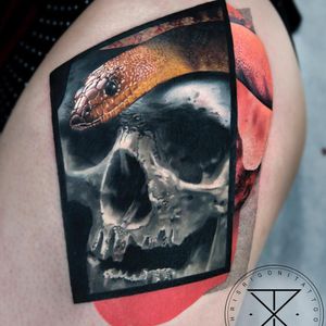 Mashup tattoo by Chris Rigoni #ChrisRigoni #besttattoos #blackandgrey #color #realism #realistic #hyperrealism #skull #snake #animal #reptile #death #abstract #shapes #dotwork #linework #tattoooftheday