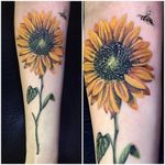 Girassol #RodrigoLobão #RodrigoRodrigues #brasil #brazil #tatuadoresdobrasil #brazilianartist #realismo #realism #flower #flor #girassol #sunflower #bee #abelha