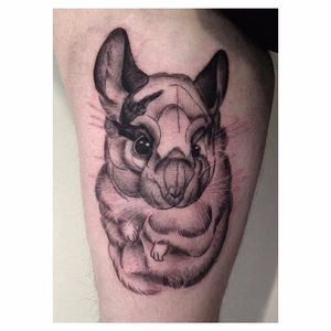 Chinchilla Tattoo by Ash Timlin #chinchilla #animal #cutetattoos #AshTimlin
