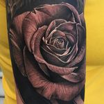 Incredible detail shot of a rose tattoo done by Massimiliano Fonzo. #massimilianofonzo #blackandgrey #rose #details #realistictattoo