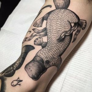 Fineline black and grey platypus tattoo by @ildo_tattoo. #platypus #monotreme #australiananimal #fineline #linework #blackandgrey #ildo_tattoo
