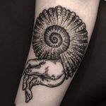 The shell my hand lives in. Tattoo by Ilja Hummel #iljahummel #besttattoos #illustrative #blackwork #dotwork #linework #hand #shell #Fibonaccispiral #etching #surreal
