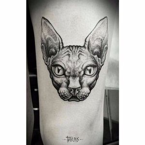 Por Sasha Tabuns! #SashaTabuns #Sphynx #Cat #sphynxcat #sphynxtattoo #cattattoo #tatuagemsphynx