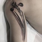 Black and grey iris tattoo by David Allen. #realism #blackandgrey #painterly #DavidAllen #flower #iris