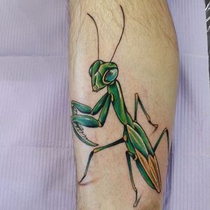 Sassy, over the shoulder glance from a Praying Mantis friend. (via IG—mantistattoo) #