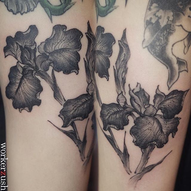 Fine line iris flower tattoo on the rib
