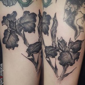 Styled realism black and grey iris tattoo by Zush. #realism #styledrealism #painterly #iris #flower #Zush