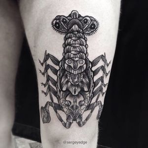 Blackwork crayfish tattoo, by Serge Yedge #SergeYedge #crayfishtattoo #blackandgrey #blackwork