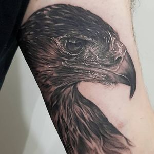 Eagle tattoo by Inky Joe #InkyJoe #naturetattoos #blackandgrey #whiteink #realism #realistic #hyperrealism #eagle #bird #feathers #animal #tattoooftheday