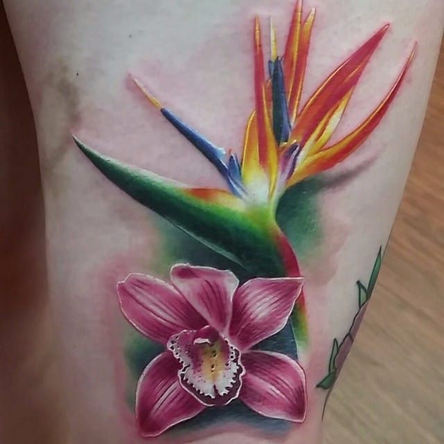 30 Bird Of Paradise Flower Tattoo Illustrations RoyaltyFree Vector  Graphics  Clip Art  iStock