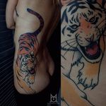 Tiger Tattoo by Morgane Jeane #tiger #tigertattoo #contemporarytattoos #delicatetattoo #moderntattoo #colorful #colorfultattoo #bestattoos #frenchtattoo #MorganeJeane