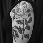 Rose tatto by Antoine Elvy #AntoineElvy #rosetattoos #blackandgrey #illustrative #rose #flower #floral #leaves #plant #sparrow #bird #feathers #nature #wings #thorns