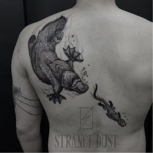 Platypus tattoo by Strange Dust #StrangeDust #blackwork #platypus