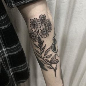 Dotwork forget-me-not tattoo by Klaudia Holda. #dotwork #blackwork #KlaudiaHolda #forgetmenot #botanical