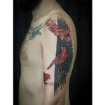 Bird tattoo by Taiom #Taiom #graphic #conceptual #contemporary #sketch #abstract #watercolor #bird