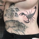 Three sick pieces by Jordan Baxter #JordanBaxter #blackandgrey #oldschool #traditional #illustrative #rose #realistic #flower #leaves #tiger #junglecat #cat #scorpion #animal #nature #tattoooftheday