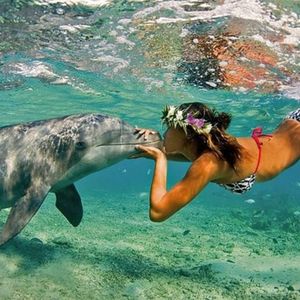 Kissing a dolphin, image via Pintrest. #dolphin #kiss #underwater #animal #swimming