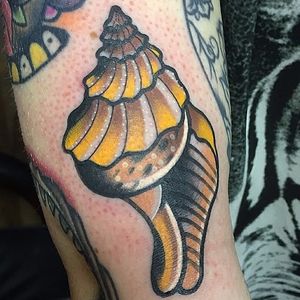 Conch Tattoo by Adam Cornish #ConchTattoo #Shells #ShellTattoos #SeashellTattoo #Seashell #AdamCornish